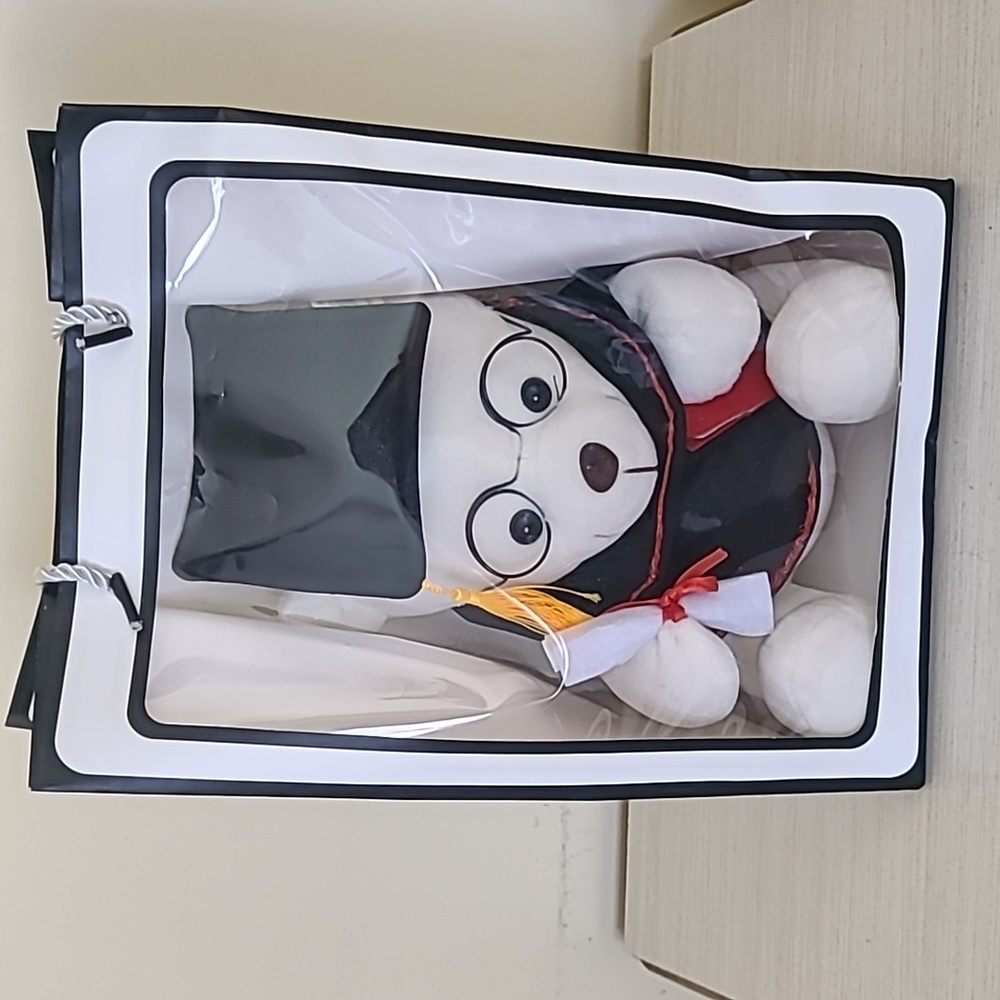 Graduation Bear Gift , Teddy Bear, Congrats graduation Stuffed Animals